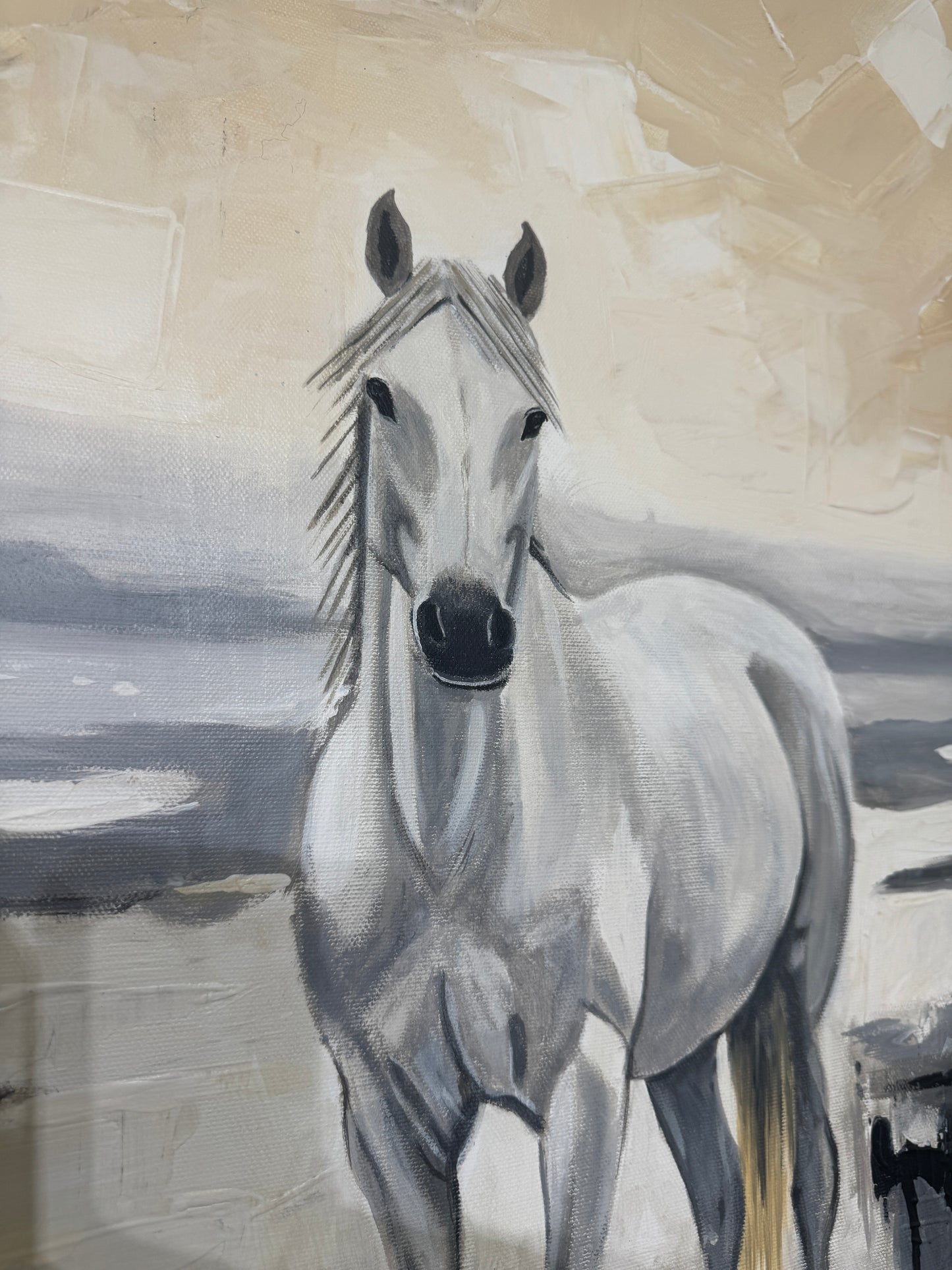 L’Âme Blanche de Camargue 80 x 80 cm