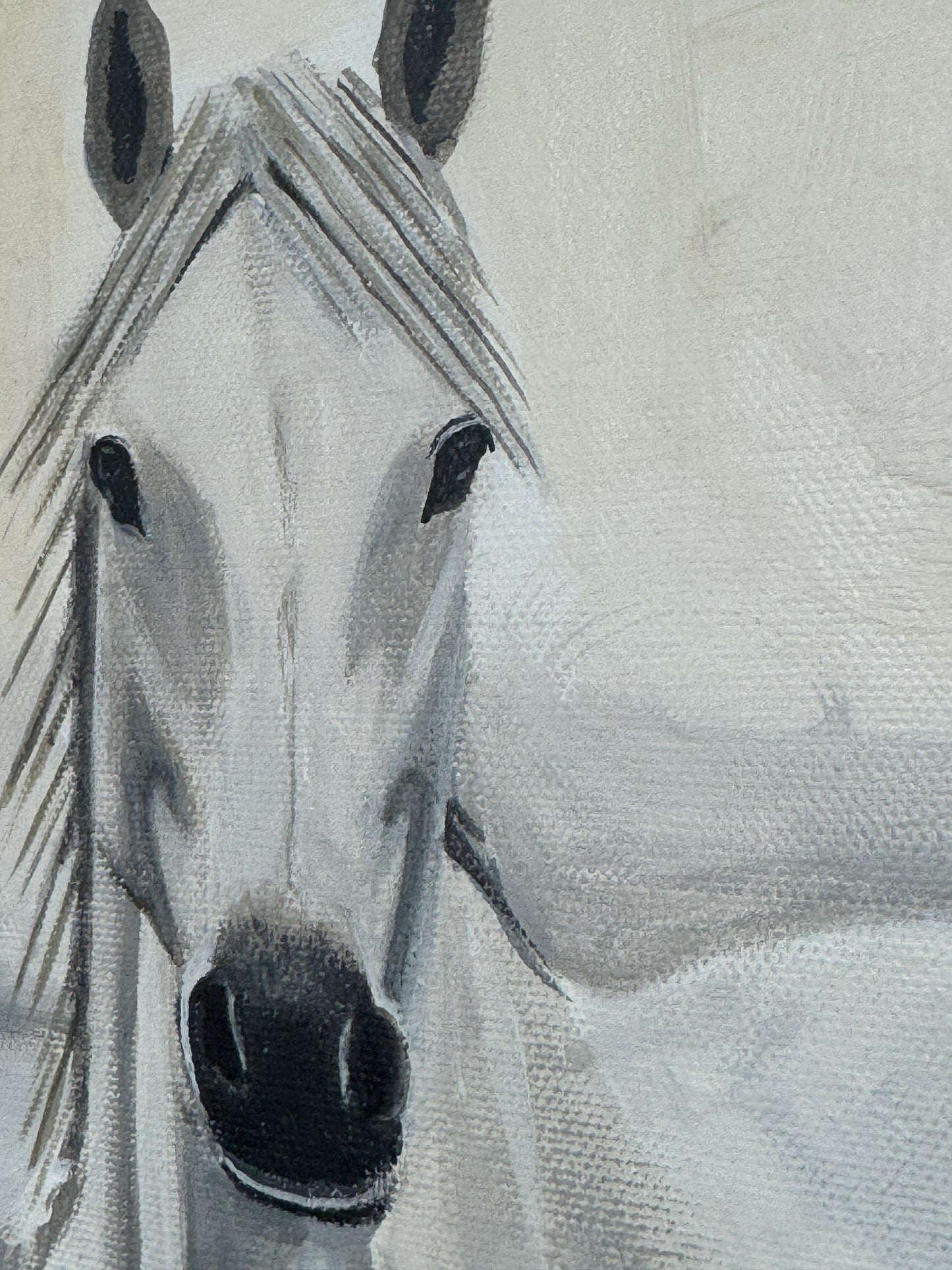 L’Âme Blanche de Camargue 80 x 80 cm